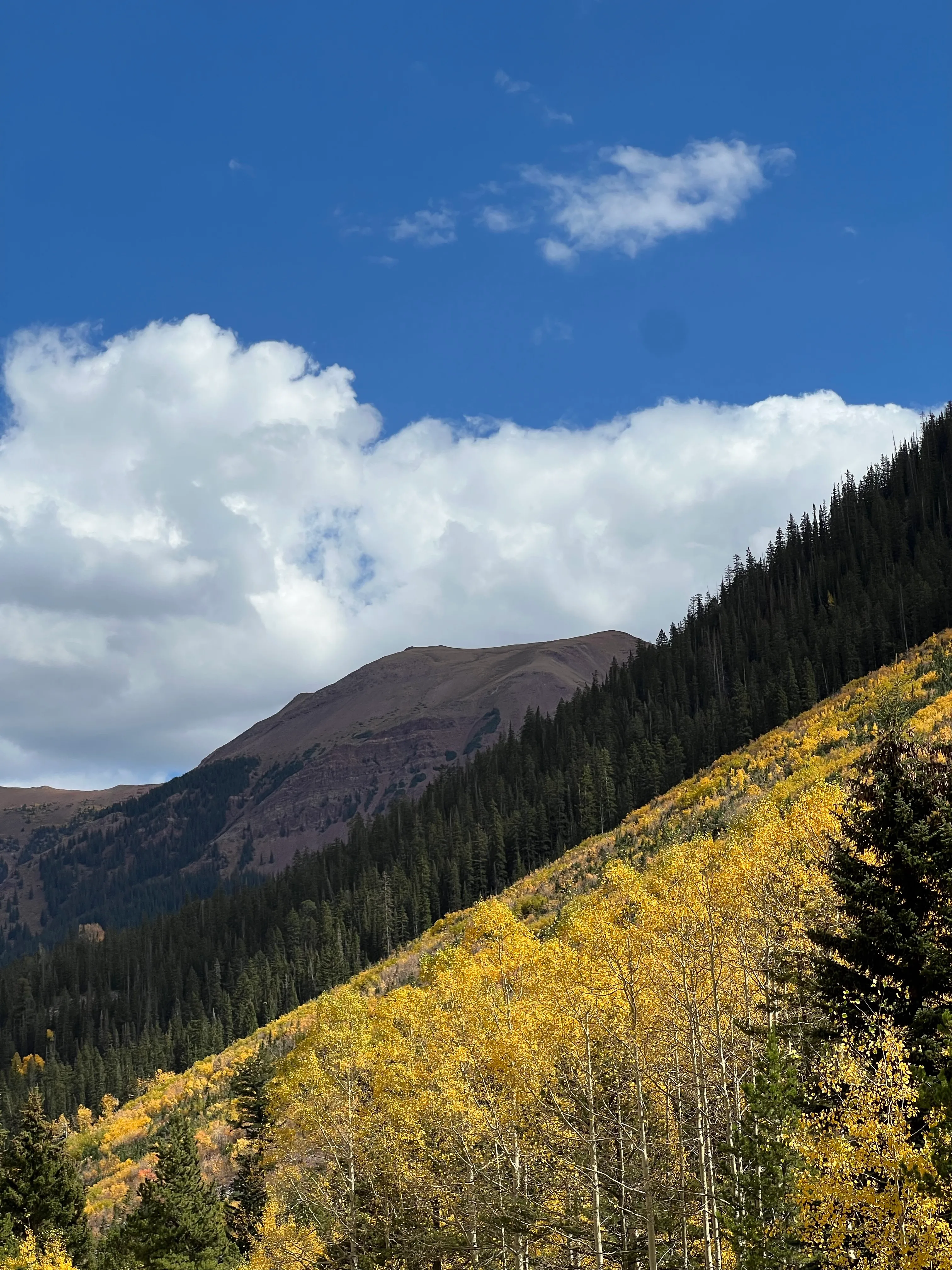 Golden aspens against a high Colorado ridge